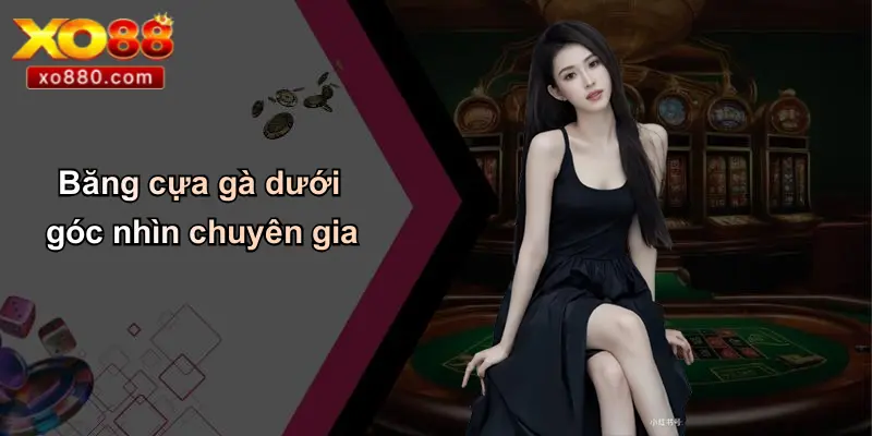 Băng Cựa Gà: Từ Truyền Thống Đến Cá Cược Hiện Đại Cùng XO88 Băng Cựa Gà: Từ Truyền Thống Đến Cá Cược Hiện Đại Cùng XO88