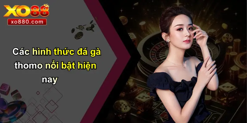 Đá Gà Thomo Là Gì: Tổng Quan Thông Tin Từ XO88 Pro Đá Gà Thomo Là Gì: Tổng Quan Thông Tin Từ XO88 Pro