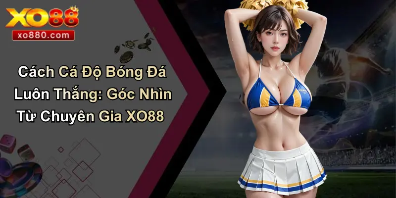 Băng Cựa Gà: Từ Truyền Thống Đến Cá Cược Hiện Đại Cùng XO88 Băng Cựa Gà: Từ Truyền Thống Đến Cá Cược Hiện Đại Cùng XO88