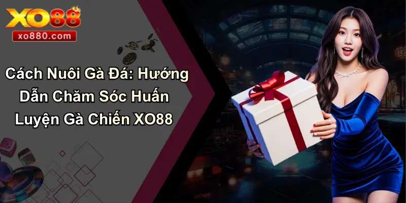 Cách Cá Độ Bóng Đá Luôn Thắng: Góc Nhìn Từ Chuyên Gia XO88 Cách Cá Độ Bóng Đá Luôn Thắng: Góc Nhìn Từ Chuyên Gia XO88