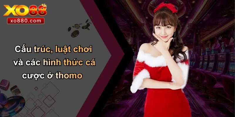 Thomo Là Gì: Khám Phá Sân Đấu Gà Đỉnh Cao Và Cá Cược XO88 Thomo Là Gì: Khám Phá Sân Đấu Gà Đỉnh Cao Và Cá Cược XO88