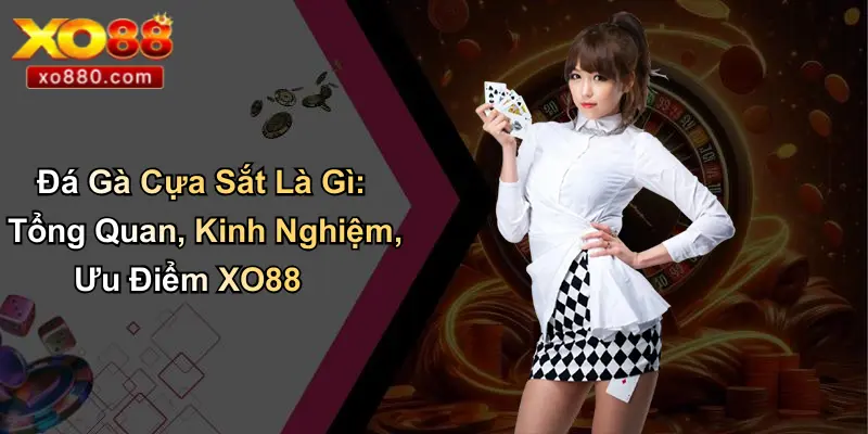 Đá Gà Thomo Là Gì: Tổng Quan Thông Tin Từ XO88 Pro Đá Gà Thomo Là Gì: Tổng Quan Thông Tin Từ XO88 Pro