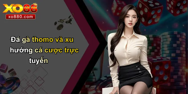 Thomo Là Ở Đâu: Bí Ẩn Trường Gà Lịch Sử Và Đá Gà Trực Tuyến Thomo Là Ở Đâu: Bí Ẩn Trường Gà Lịch Sử Và Đá Gà Trực Tuyến