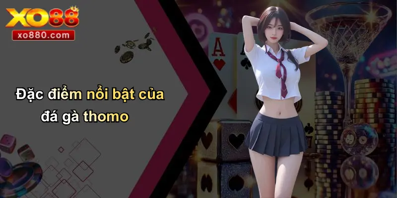 Đá Gà Thomo Là Gì: Tổng Quan Thông Tin Từ XO88 Pro Đá Gà Thomo Là Gì: Tổng Quan Thông Tin Từ XO88 Pro