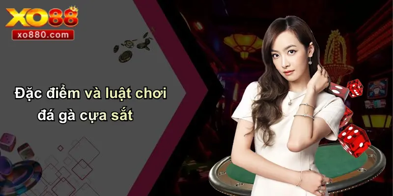 Đá Gà Cựa Sắt Là Gì: Tổng Quan, Kinh Nghiệm, Ưu Điểm XO88 Đá Gà Cựa Sắt Là Gì: Tổng Quan, Kinh Nghiệm, Ưu Điểm XO88
