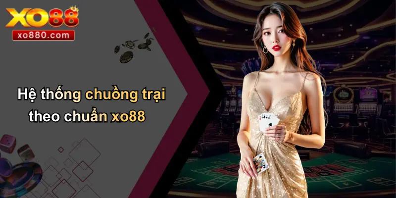 Cách Nuôi Gà Đá: Hướng Dẫn Chăm Sóc Huấn Luyện Gà Chiến XO88 Cách Nuôi Gà Đá: Hướng Dẫn Chăm Sóc Huấn Luyện Gà Chiến XO88