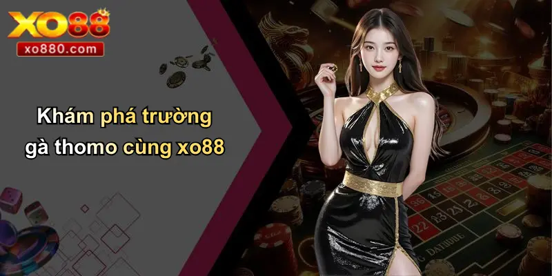 Thomo Là Ở Đâu: Bí Ẩn Trường Gà Lịch Sử Và Đá Gà Trực Tuyến Thomo Là Ở Đâu: Bí Ẩn Trường Gà Lịch Sử Và Đá Gà Trực Tuyến
