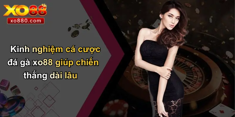 Đá Gà XO88: Sân Chơi Đỉnh Cao Hội Tụ Đam Mê Và Thắng Lợi Lớn Đá Gà XO88: Sân Chơi Đỉnh Cao Hội Tụ Đam Mê Và Thắng Lợi Lớn