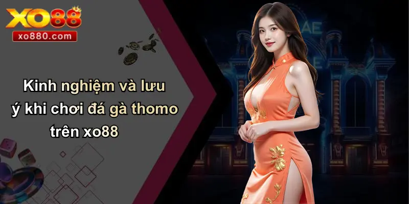 Thomo Là Gì: Khám Phá Sân Đấu Gà Đỉnh Cao Và Cá Cược XO88 Thomo Là Gì: Khám Phá Sân Đấu Gà Đỉnh Cao Và Cá Cược XO88