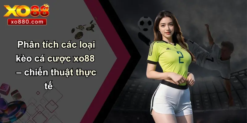 Kinh Nghiệm Cá Cược: Chìa Khóa Thành Công Bền Vững Cùng XO88 Kinh Nghiệm Cá Cược: Chìa Khóa Thành Công Bền Vững Cùng XO88