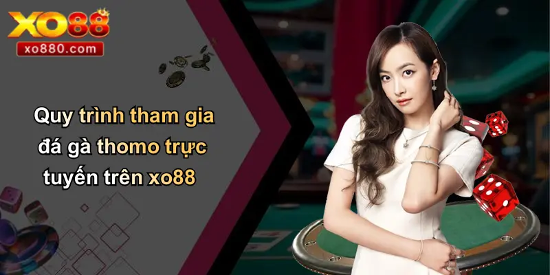 Đá Gà Thomo Là Gì: Tổng Quan Thông Tin Từ XO88 Pro Đá Gà Thomo Là Gì: Tổng Quan Thông Tin Từ XO88 Pro