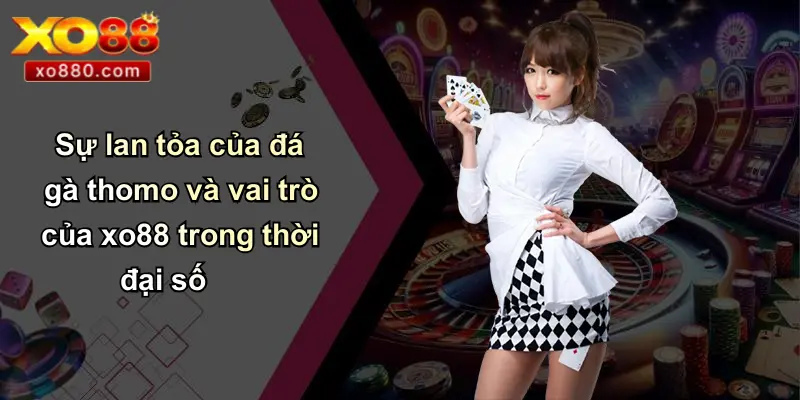 Thomo Là Gì: Khám Phá Sân Đấu Gà Đỉnh Cao Và Cá Cược XO88 Thomo Là Gì: Khám Phá Sân Đấu Gà Đỉnh Cao Và Cá Cược XO88
