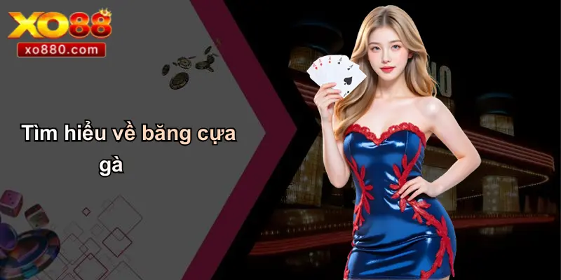 Băng Cựa Gà: Từ Truyền Thống Đến Cá Cược Hiện Đại Cùng XO88 Băng Cựa Gà: Từ Truyền Thống Đến Cá Cược Hiện Đại Cùng XO88