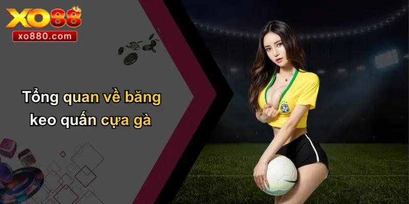 Băng Keo Quấn Cựa Gà: Bí Quyết Chiến Thắng Được Tiết Lộ Từ XO88 Băng Keo Quấn Cựa Gà: Bí Quyết Chiến Thắng Được Tiết Lộ Từ XO88