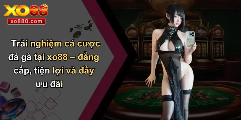 Đá Gà XO88: Sân Chơi Đỉnh Cao Hội Tụ Đam Mê Và Thắng Lợi Lớn Đá Gà XO88: Sân Chơi Đỉnh Cao Hội Tụ Đam Mê Và Thắng Lợi Lớn