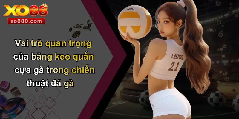 Băng Keo Quấn Cựa Gà: Bí Quyết Chiến Thắng Được Tiết Lộ Từ XO88 Băng Keo Quấn Cựa Gà: Bí Quyết Chiến Thắng Được Tiết Lộ Từ XO88