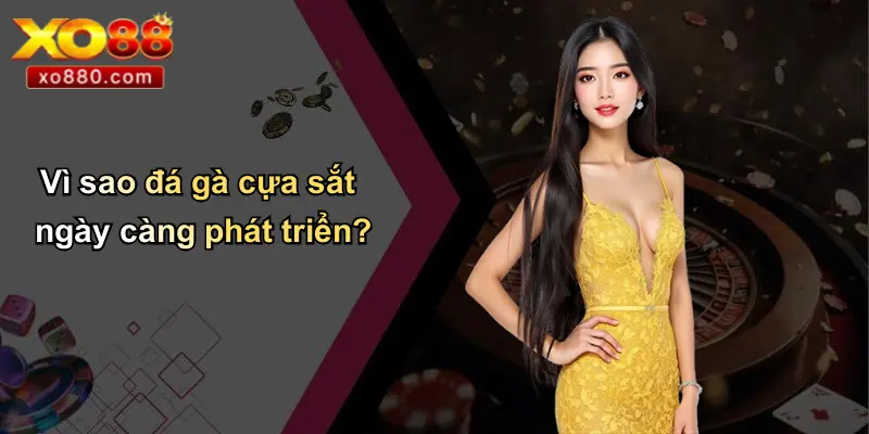 Đá Gà Cựa Sắt Là Gì: Tổng Quan, Kinh Nghiệm, Ưu Điểm XO88 Đá Gà Cựa Sắt Là Gì: Tổng Quan, Kinh Nghiệm, Ưu Điểm XO88