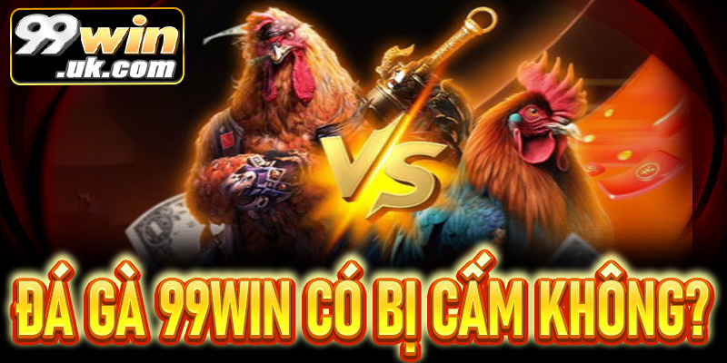 Đá gà 99Win: Hướng dẫn tham gia – luật, cách chơi 2026 - 99win.uk.com