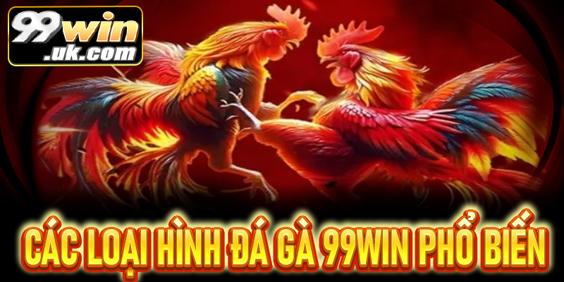 Đá gà 99Win: Hướng dẫn tham gia – luật, cách chơi 2026 - 99win.uk.com