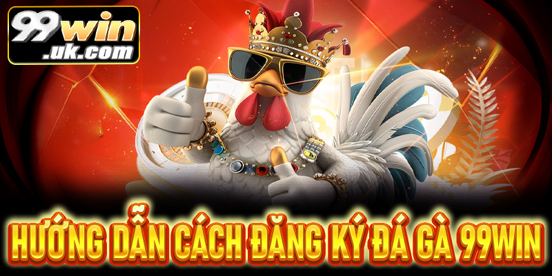 Đá gà 99Win: Hướng dẫn tham gia – luật, cách chơi 2026 - 99win.uk.com