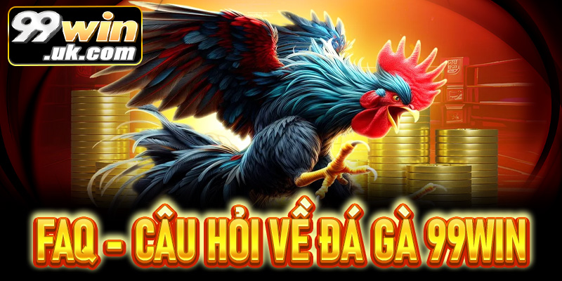 Đá gà 99Win: Hướng dẫn tham gia – luật, cách chơi 2026 - 99win.uk.com