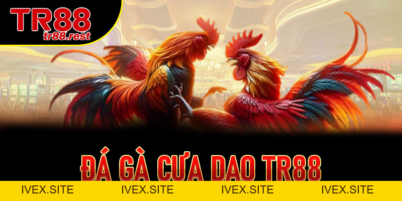 Đá Gà Cựa Dao TR88 Là Gì? Luật Chơi Và Cách Tham Gia Chi Tiết - 99win.uk.com